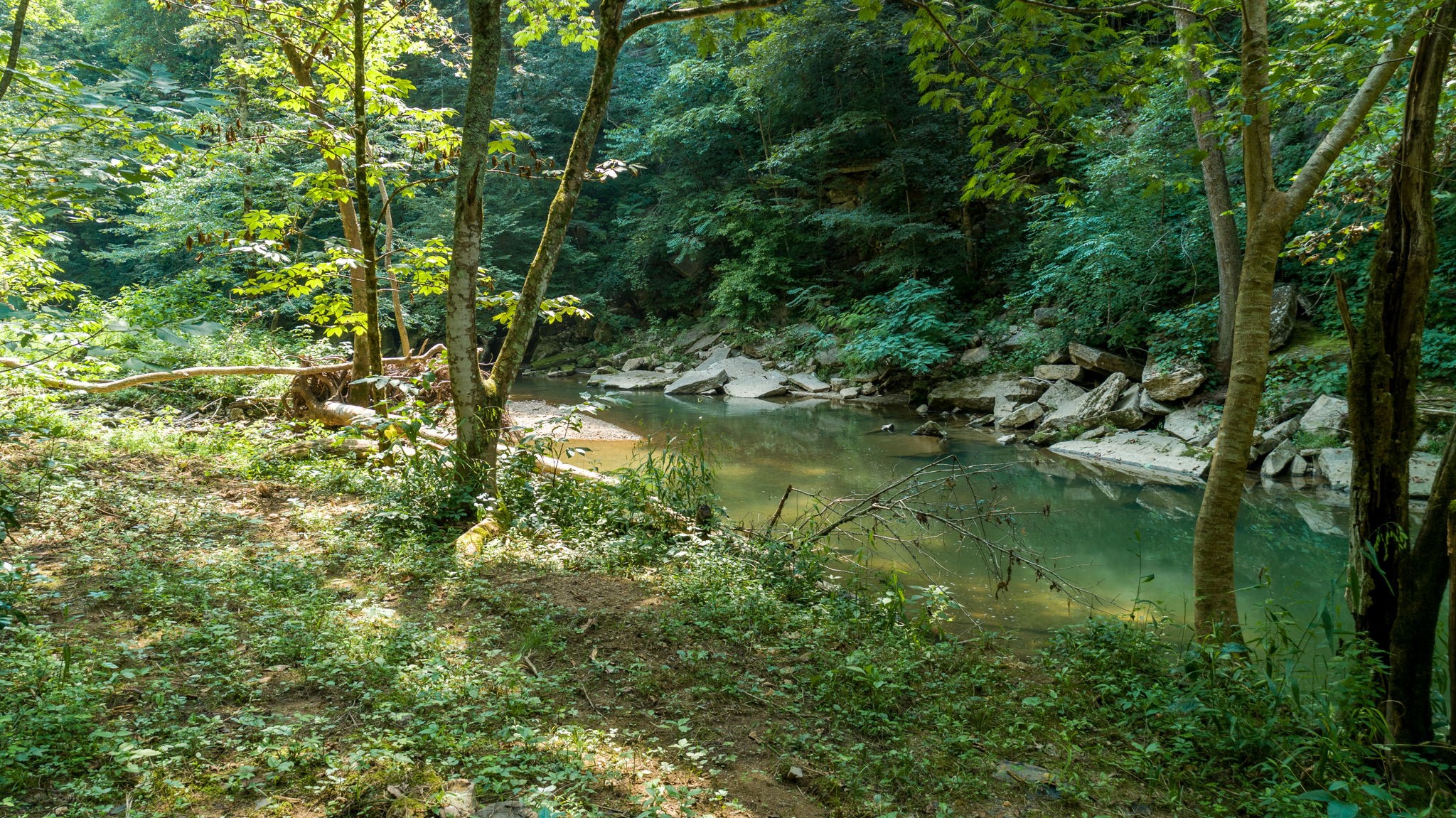 0 Jones Mill Road Smithville, TN 37166 - Photo 37 of 40 Gallery Image 37