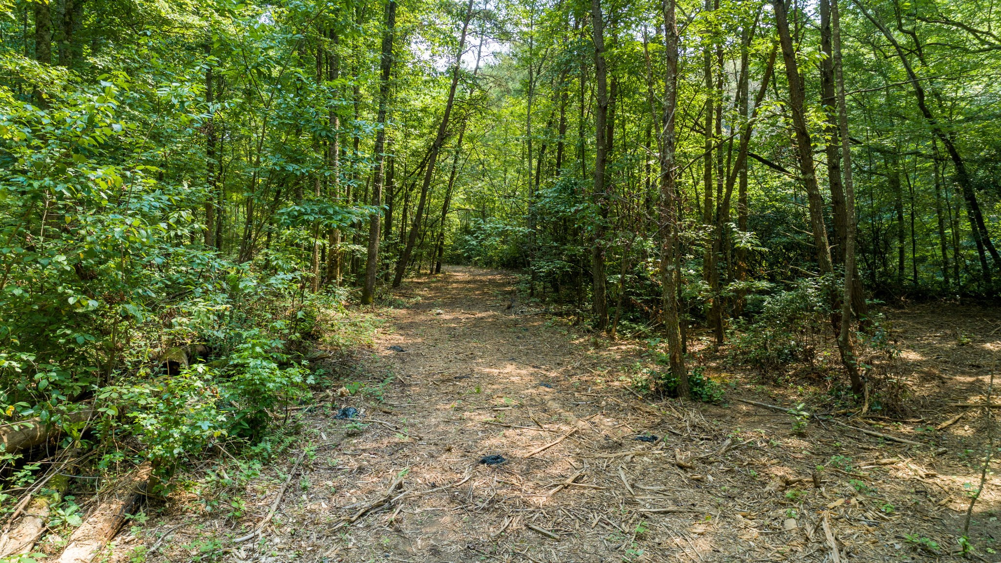 0 Jones Mill Road Smithville, TN 37166 - Photo 38 of 40 Gallery Image 38