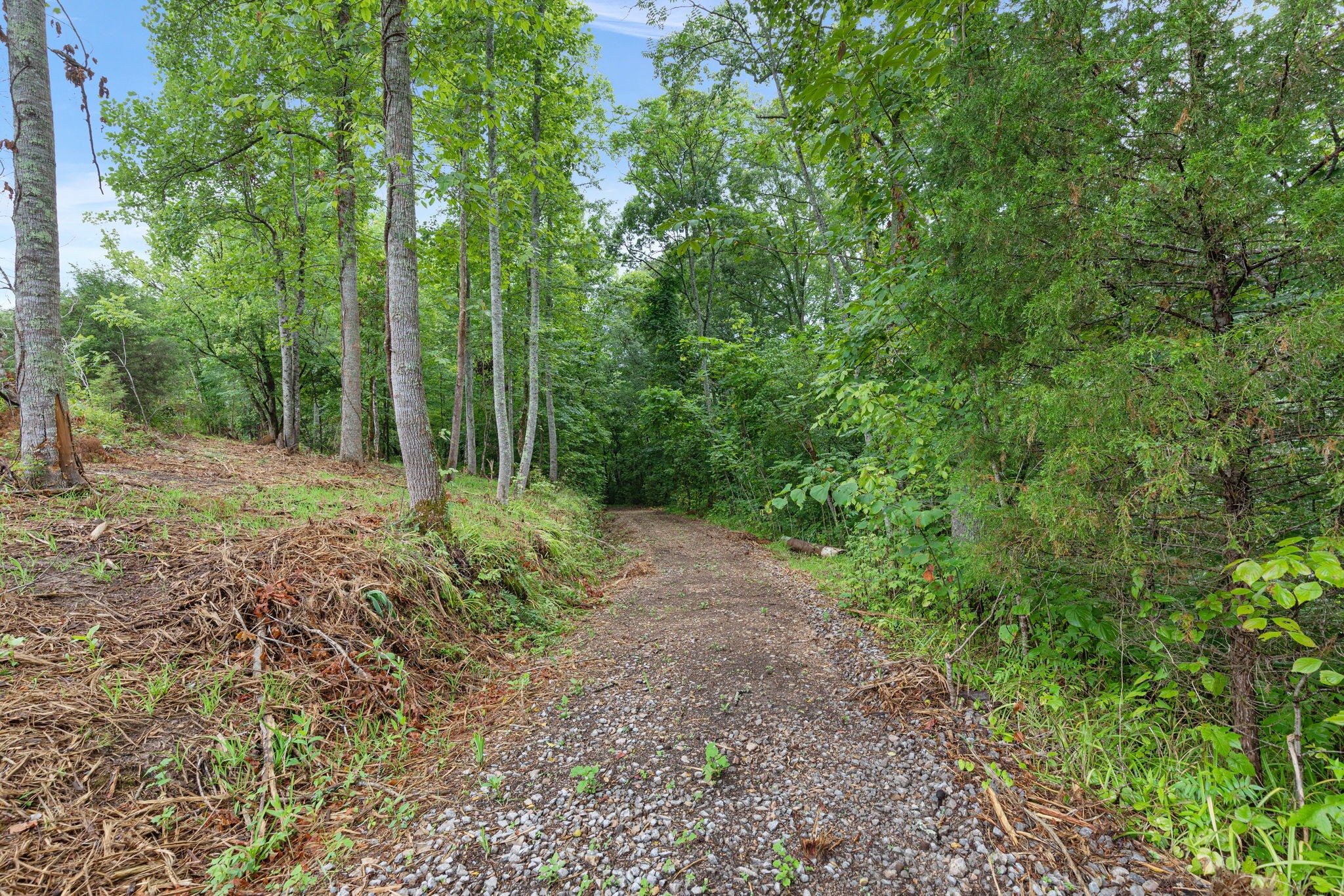 0 Jones Mill Road Smithville, TN 37166 - Photo 4 of 40 Gallery Image 4