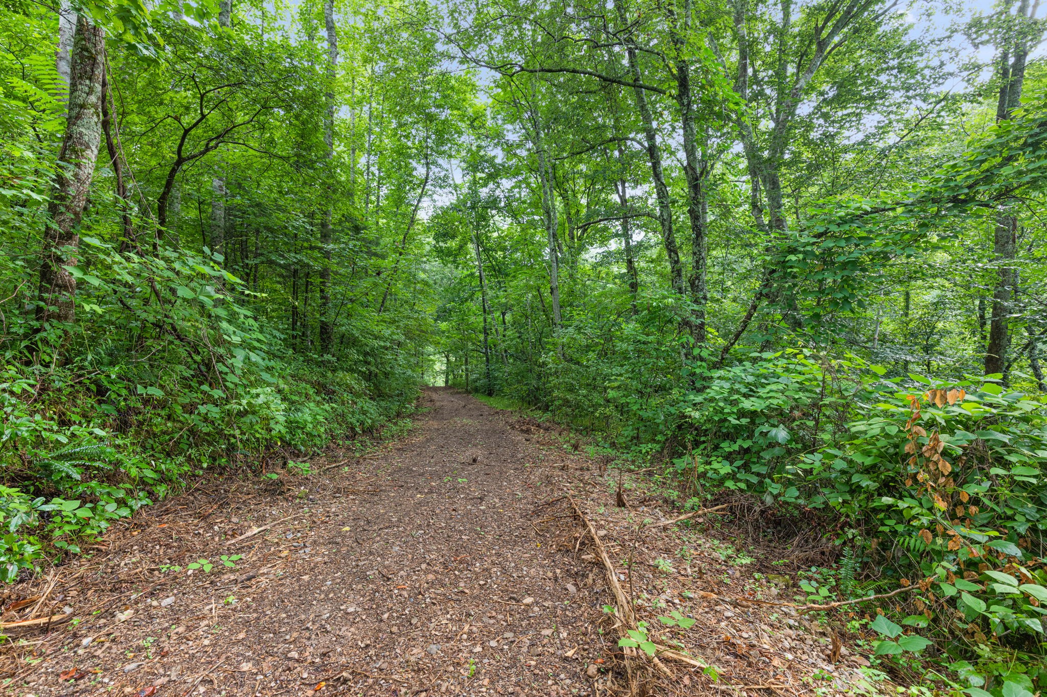 0 Jones Mill Road Smithville, TN 37166 - Photo 5 of 40 Gallery Image 5