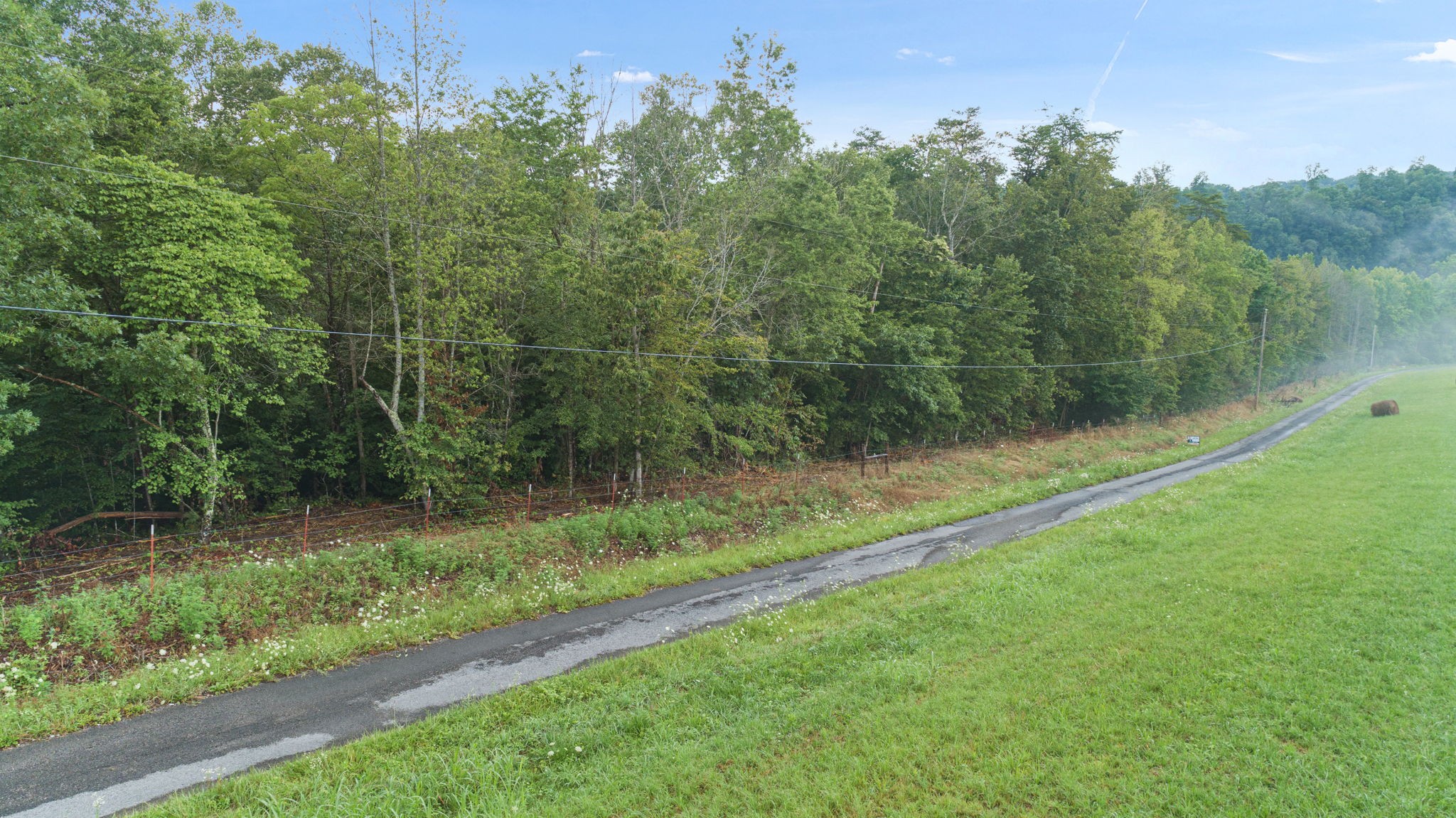 0 Jones Mill Road Smithville, TN 37166 - Photo 6 of 40 Gallery Image 6
