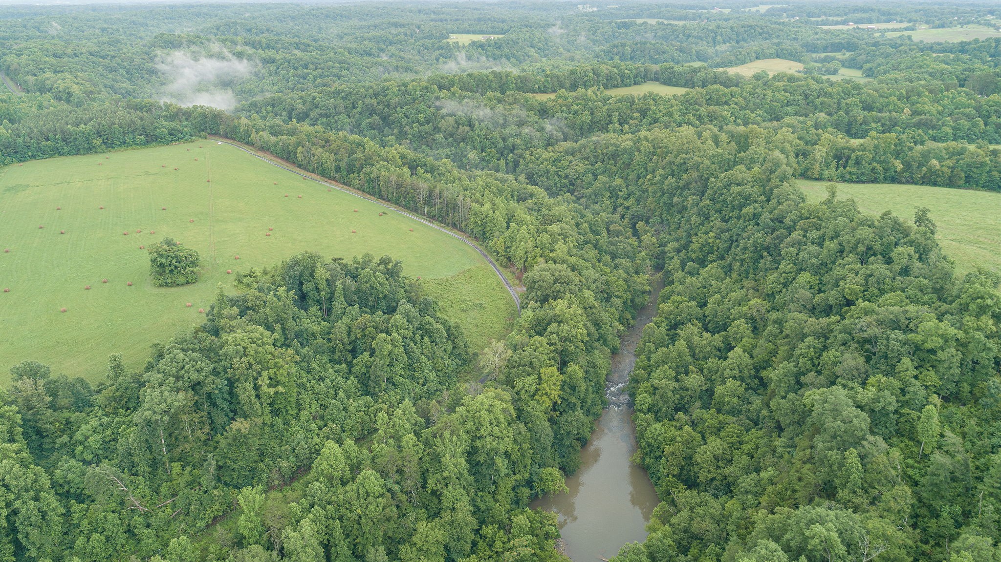 0 Jones Mill Road Smithville, TN 37166 - Photo 8 of 40 Gallery Image 8
