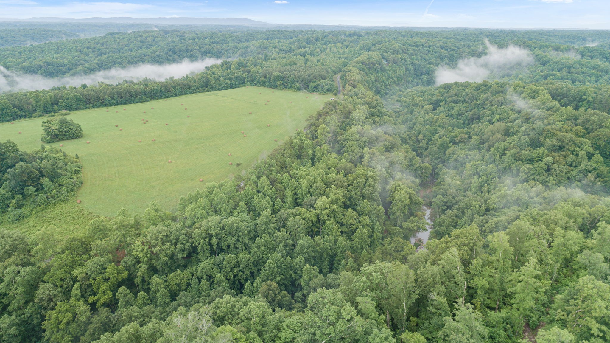 0 Jones Mill Road Smithville, TN 37166 - Photo 9 of 40 Gallery Image 9