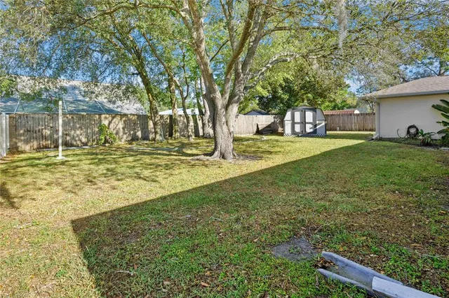 a yard with trees in the background
