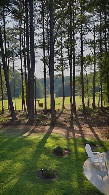 7855 Old Rico Road Palmetto, GA 30268 - Photo 57 of 90