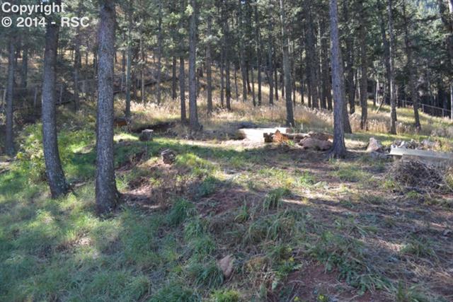 9975 Mountain Road Cascade, CO 80809 - Photo 21 of 22
