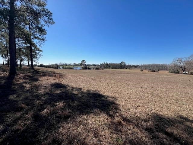 41-ac Cravey Bridge Road Opp, AL 36467 - Photo 3 of 50 Gallery Image 3