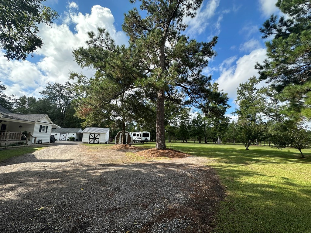 3066 Seloc Road Turbeville, SC 29162 - Photo 10 of 42 Gallery Image 10