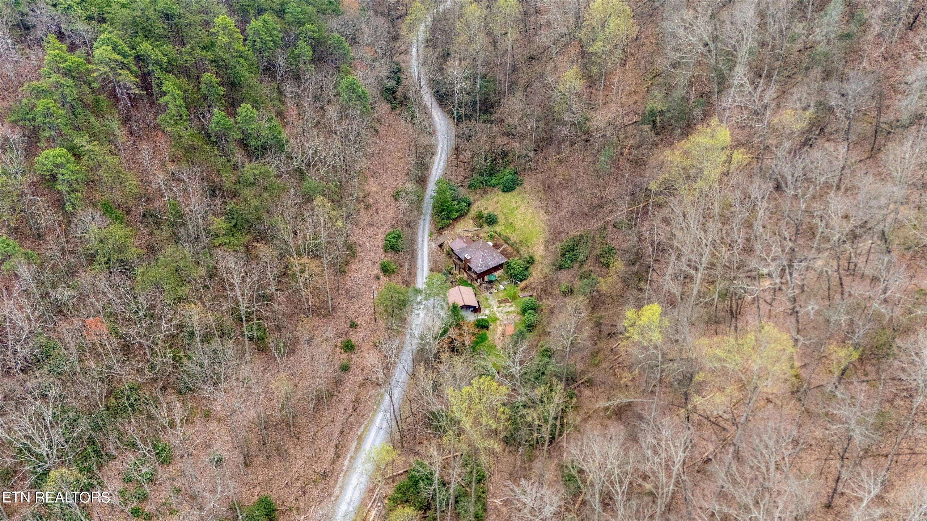1015 Reagan Springs Road Seymour, TN 37865 - Photo 46 of 50 53-1015 Reagan Springs Rd54