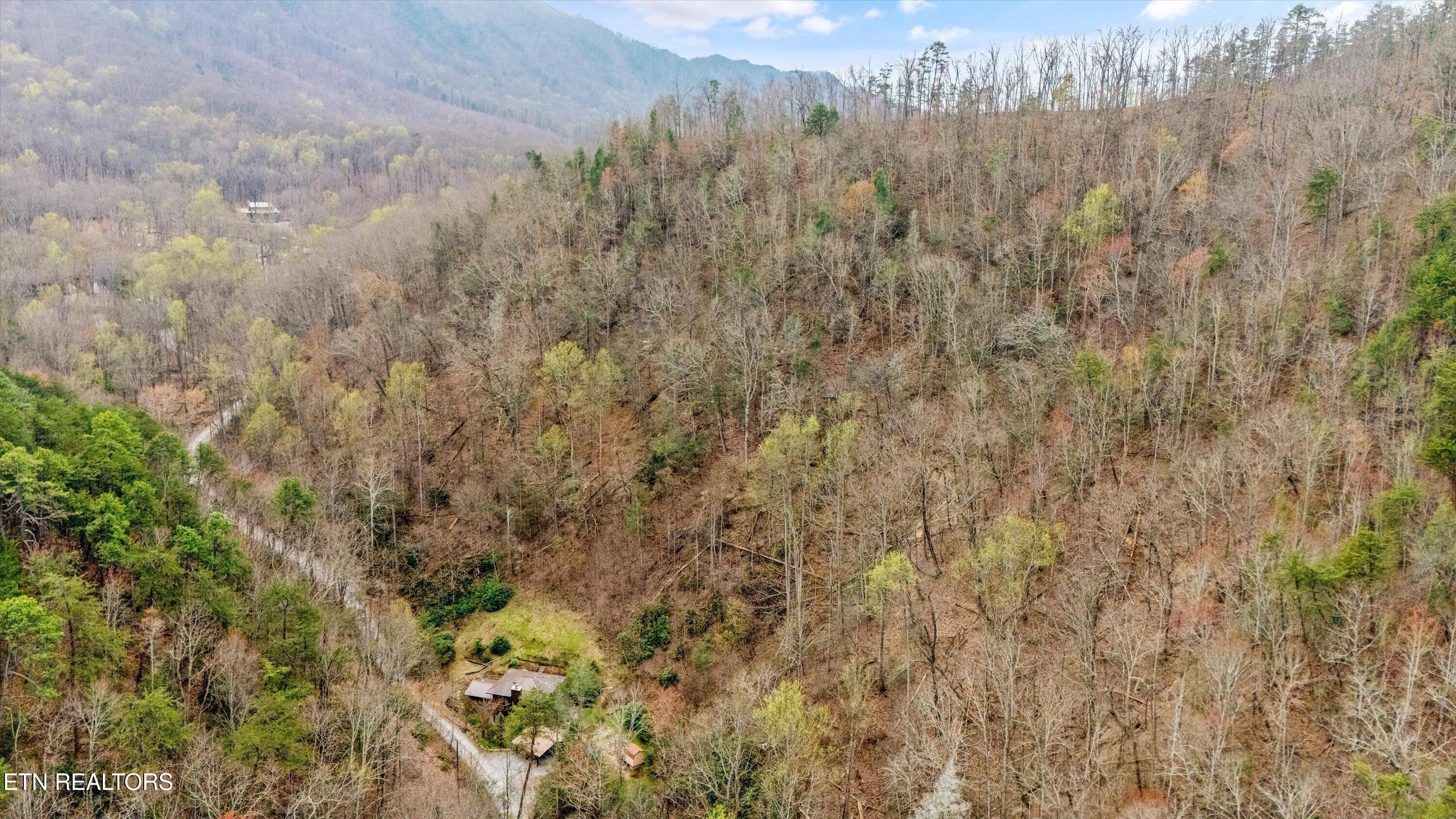 1015 Reagan Springs Road Seymour, TN 37865 - Photo 47 of 50 54-1015 Reagan Springs Rd50