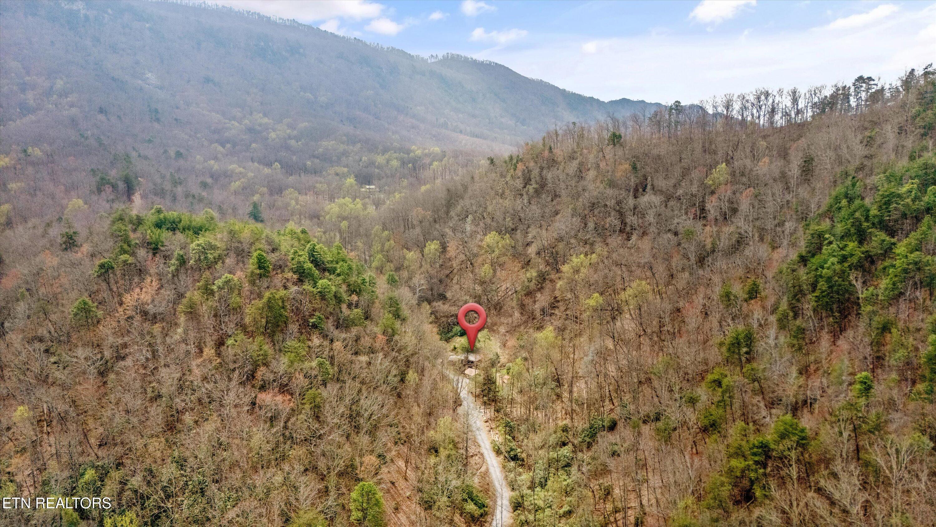 1015 Reagan Springs Road Seymour, TN 37865 - Photo 49 of 50 55-1015 Reagan Springs Rd49