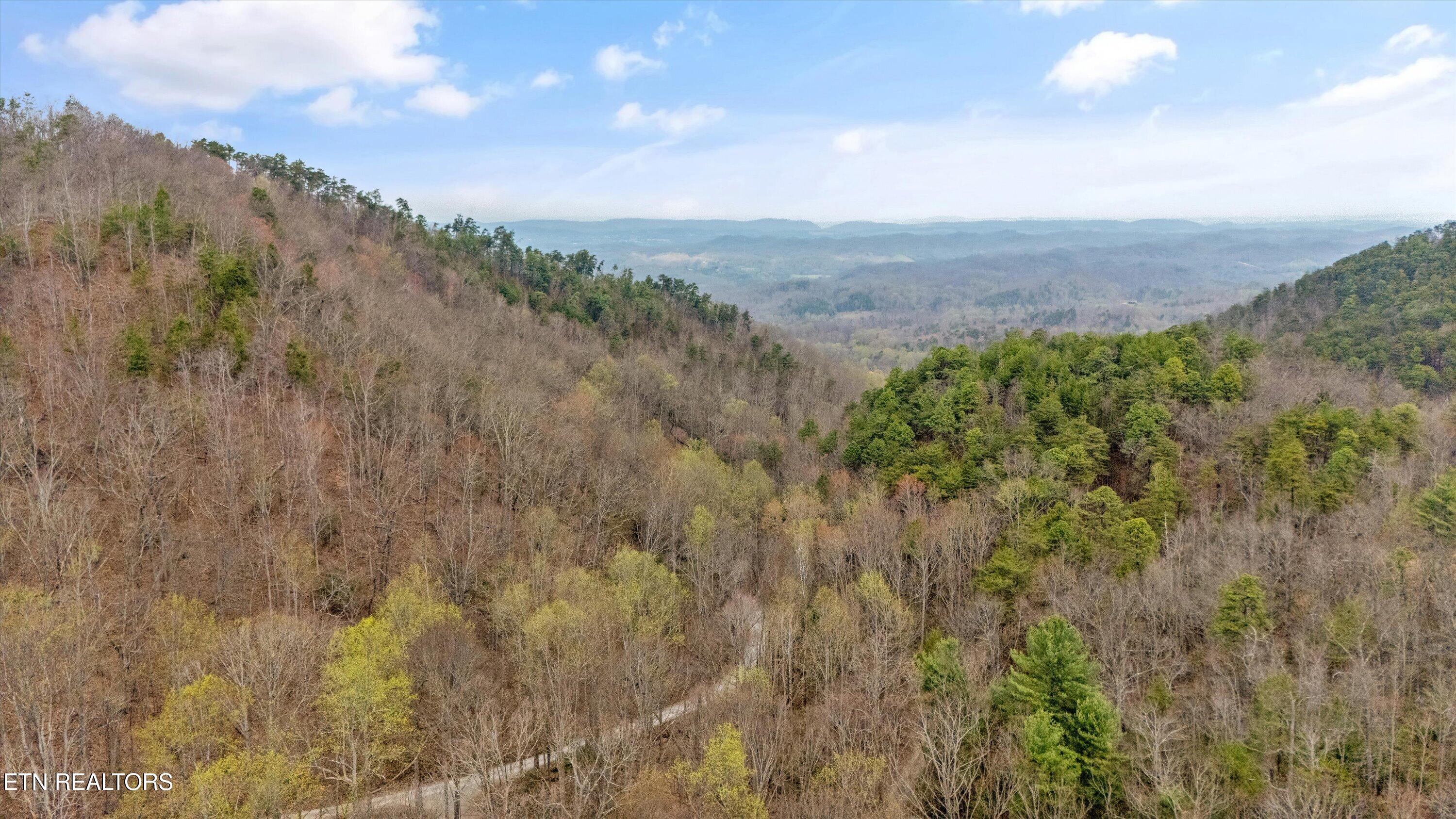 1015 Reagan Springs Road Seymour, TN 37865 - Photo 50 of 50 56-1015 Reagan Springs Rd53