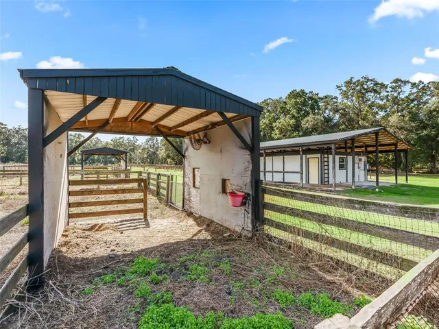 a view of a backyard with trees