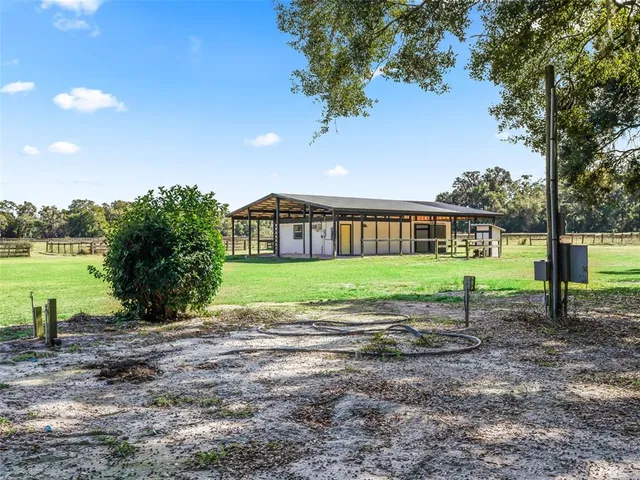 a view of dirt yard with a large tree