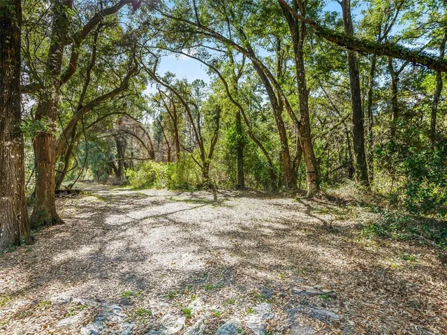 a view of a yard with plants and trees
