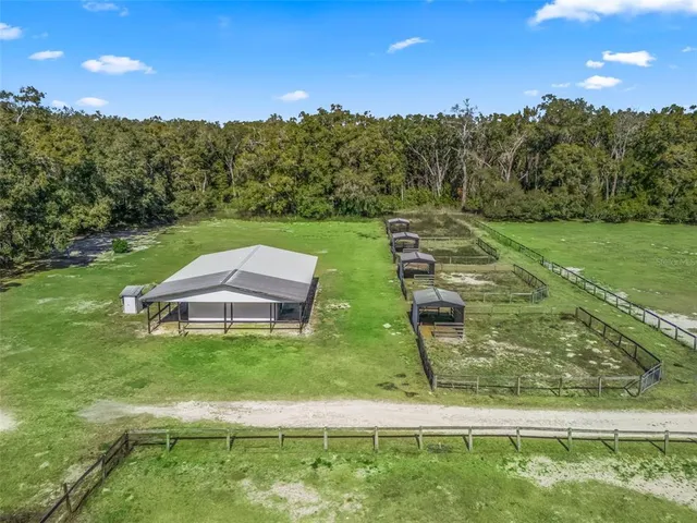 a aerial view of a garden with large trees
