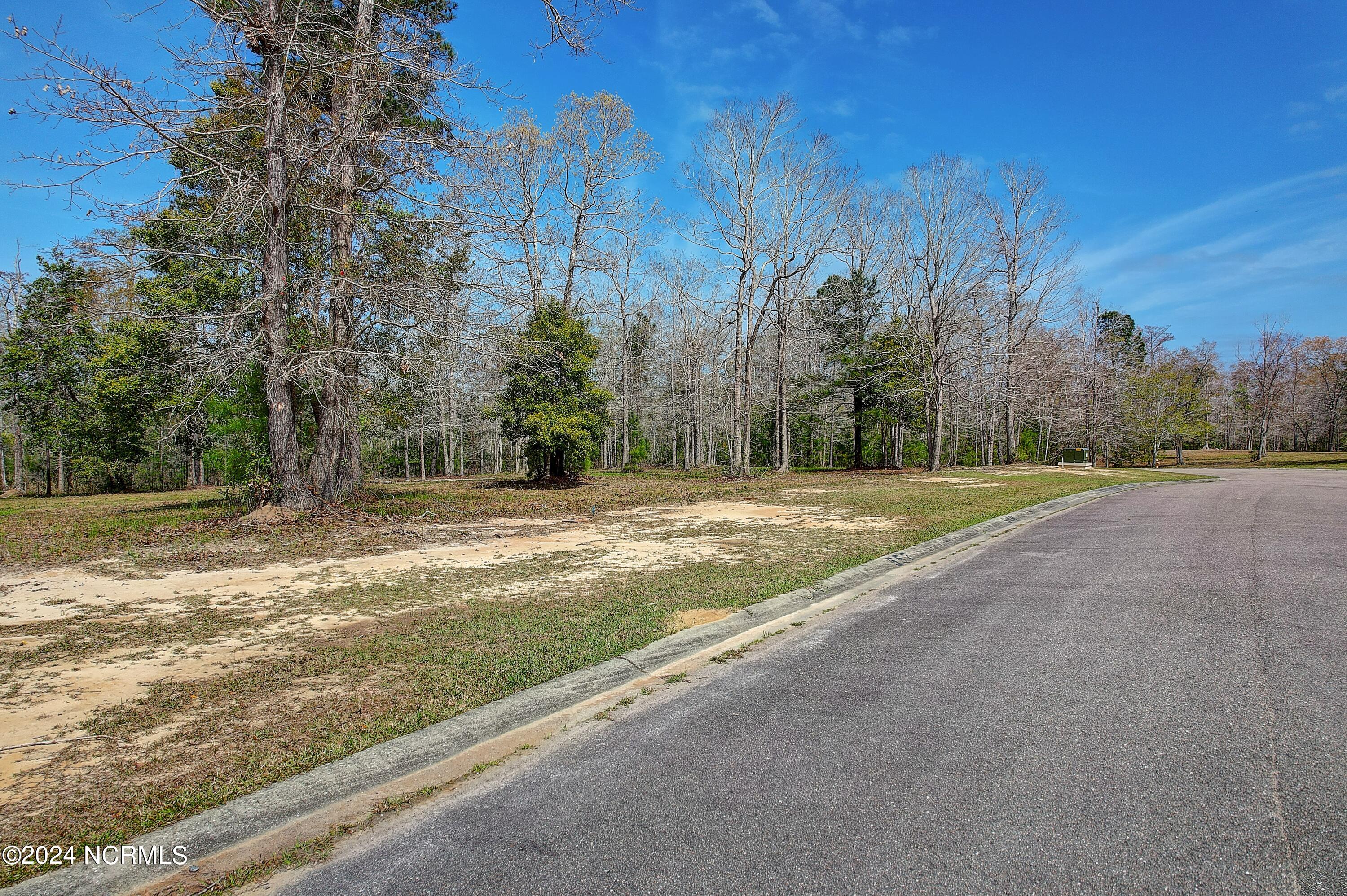 557 Sanctuary Point Southwest Supply, NC 28462 - Photo 21 of 39 557SanctuaryPoint - 2