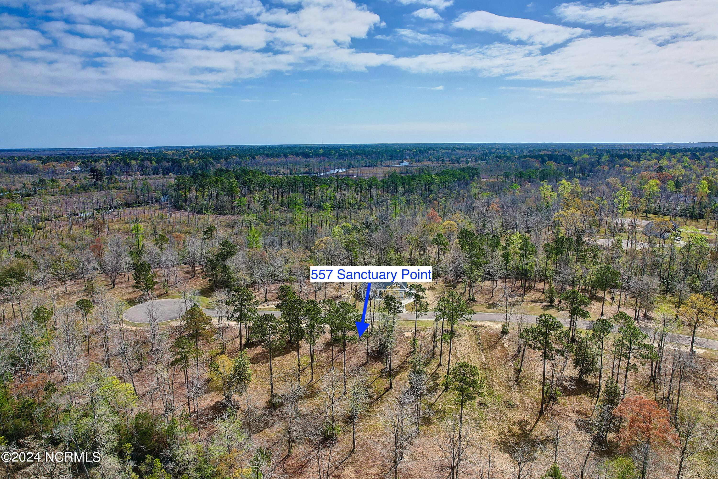 557 Sanctuary Point Southwest Supply, NC 28462 - Photo 22 of 39 557SanctuaryPoint - 11