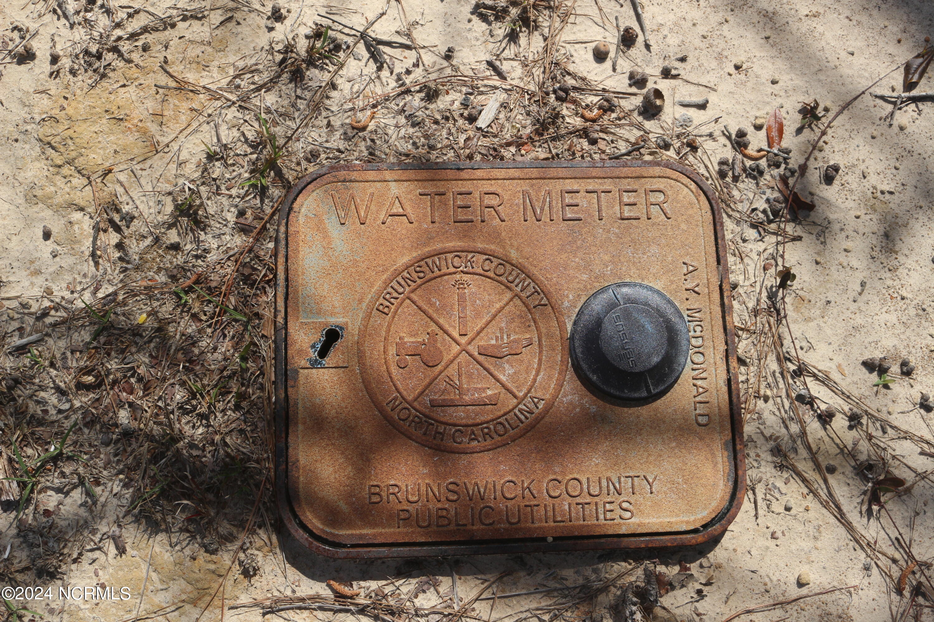 557 Sanctuary Point Southwest Supply, NC 28462 - Photo 24 of 39 County Water Available