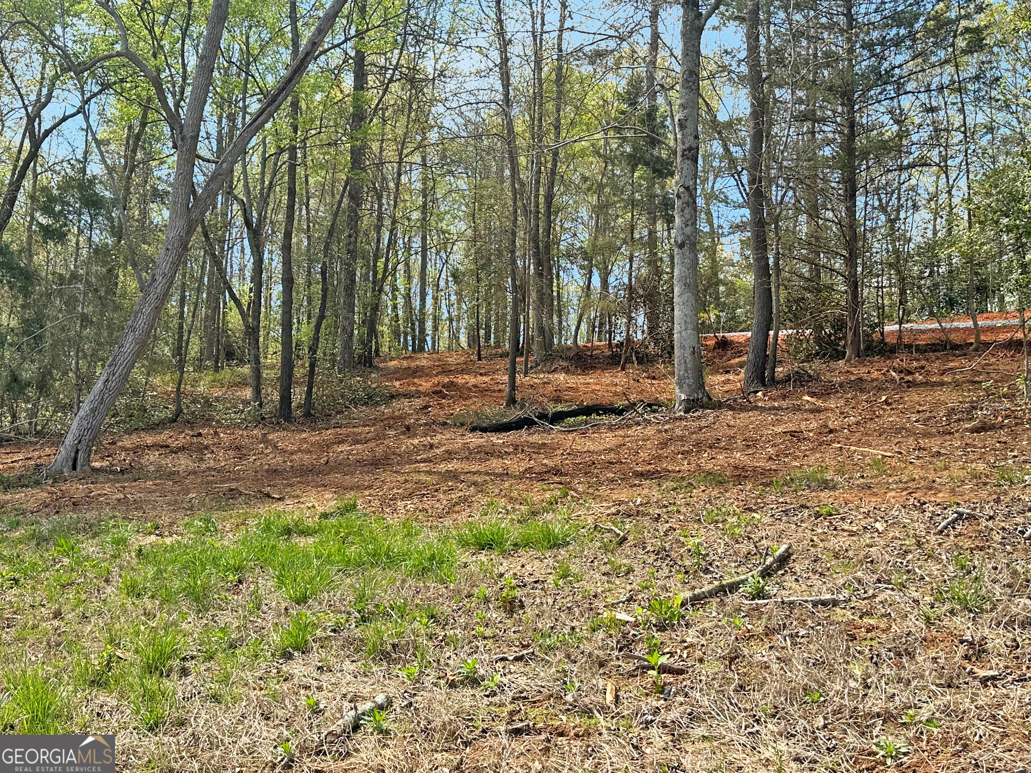102 Broad River Road, Unit LOT 6 Eastanollee, GA 30538 - Photo 5 of 9 a backyard of a house with lots of green space