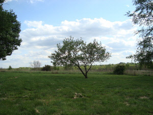 450 Bud Ikerd Road Bedford, IN 47421 - Photo 16 of 20