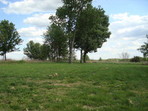 450 Bud Ikerd Road Bedford, IN 47421 - Photo 17 of 20