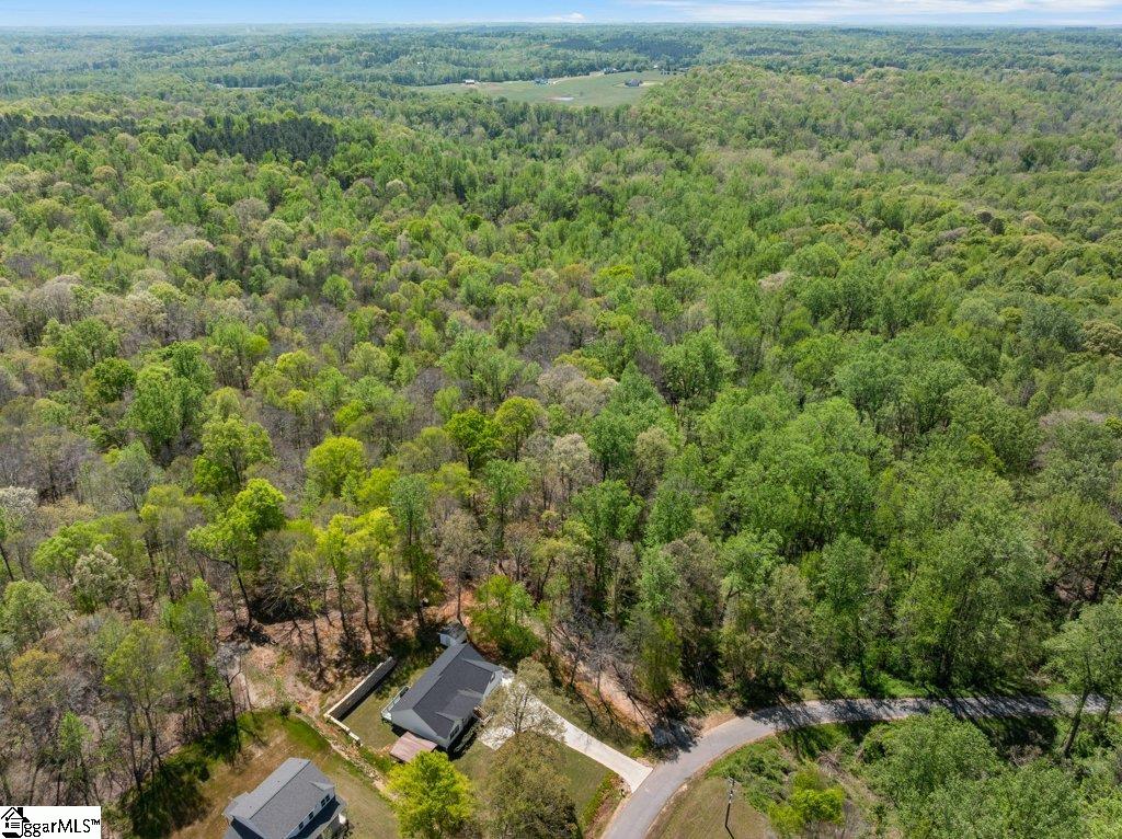 761 Pearson Town Road Moore, SC 29369 - Photo 36 of 39