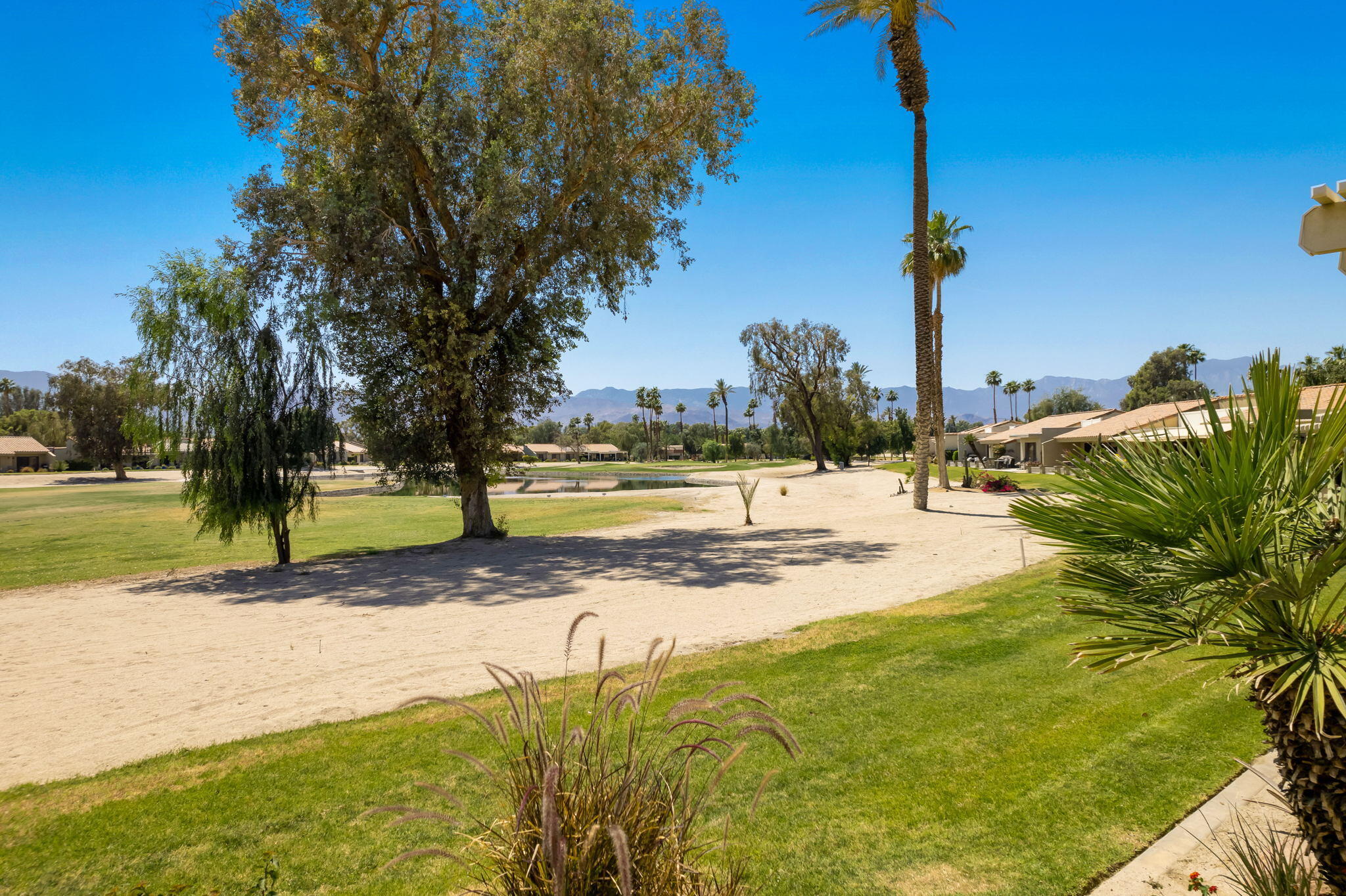 77361 Preston Trail Palm Desert, CA 92211 - Photo 41 of 47 a view of a yard with palm tree