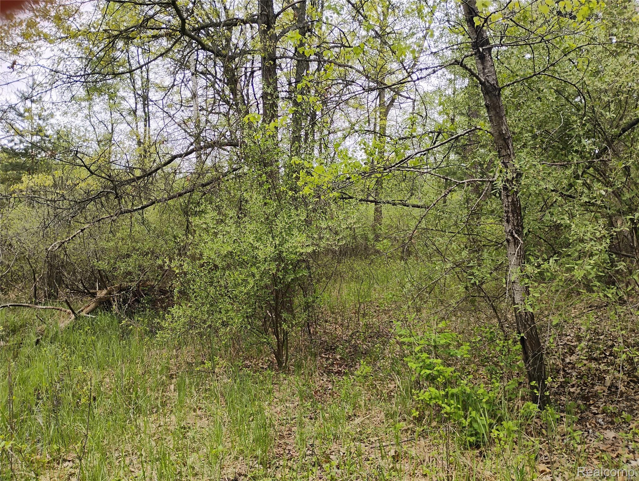 -middle Parcel C Middle Parcel C Middle Road Highland, MI 48357 - Photo 3 of 9 parcel c photo 2.jpg