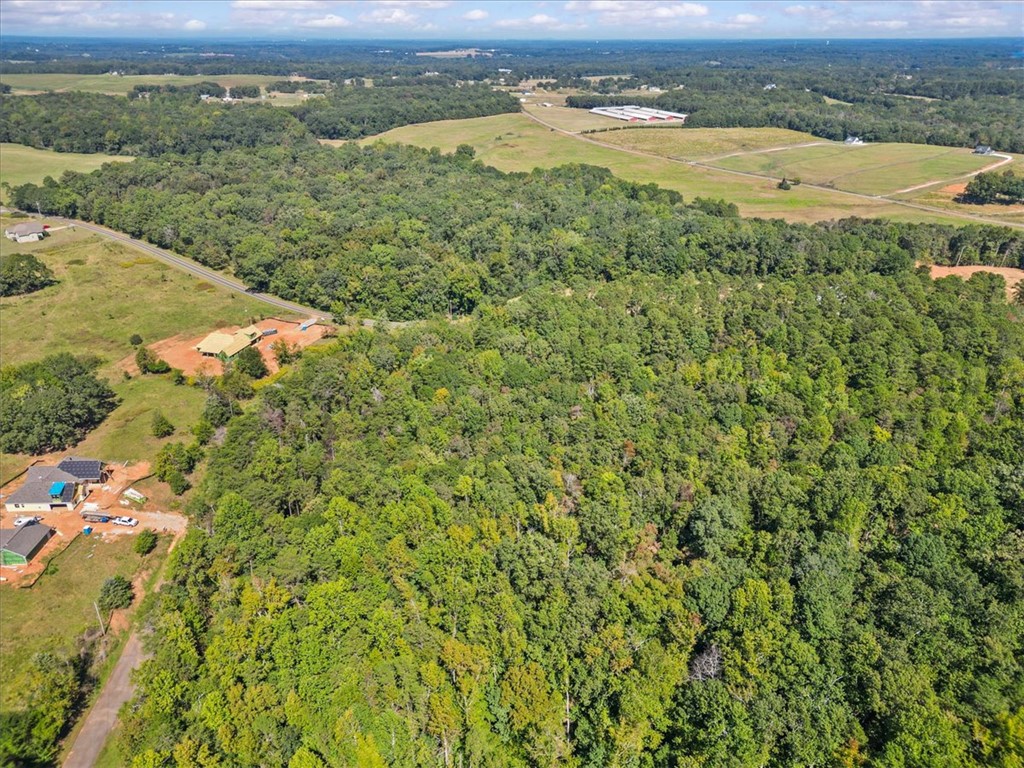 0 Andersonville Road Townville, SC 29689 - Photo 6 of 10 Gallery Image 6