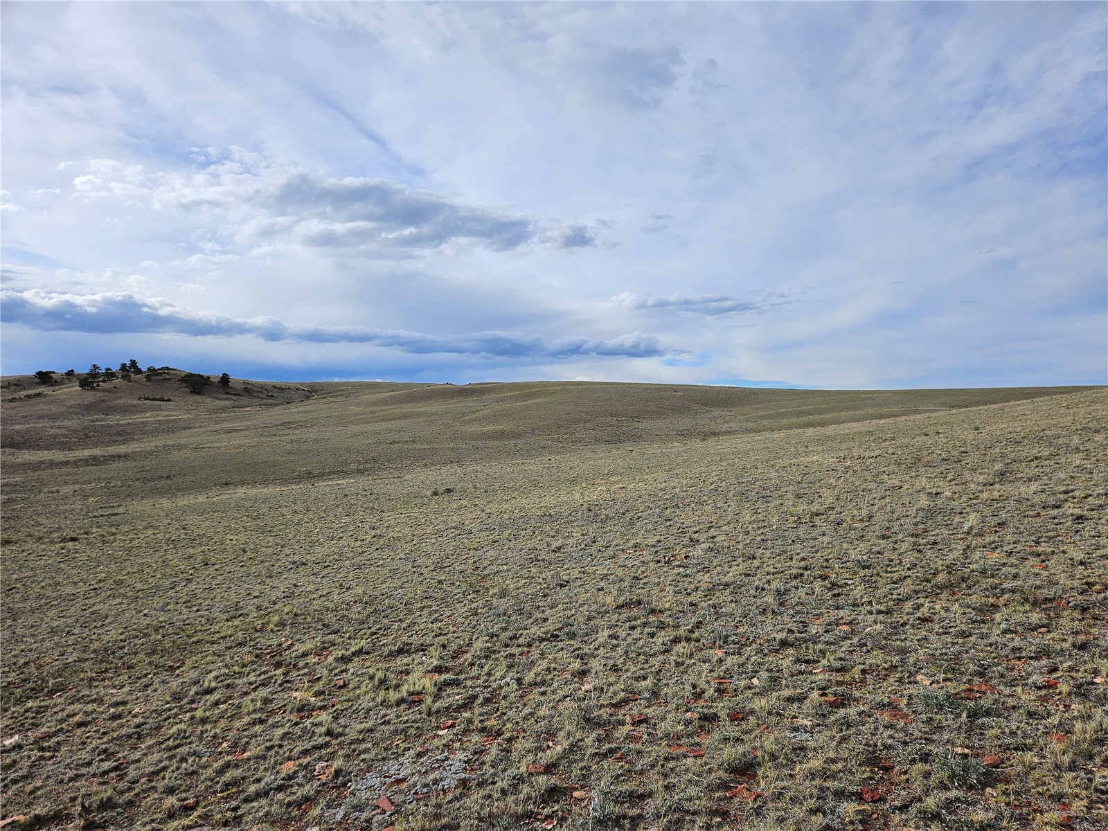 Pcs#24139 Antero Road Hartsel, CO 80449 - Photo 29 of 41