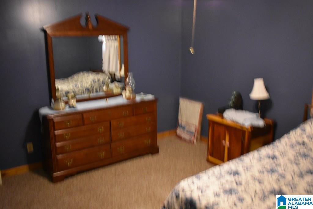 2262 Gilberts Ferry Road Ohatchee, AL 36271 - Photo 28 of 47