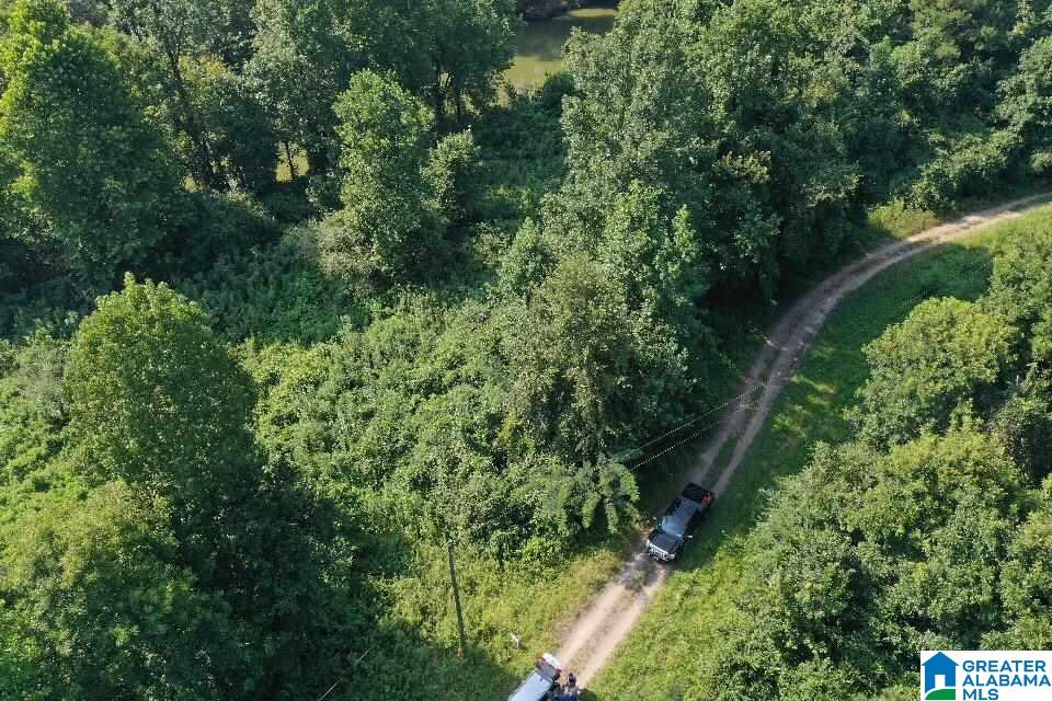 0 Sherwood Forest Road, Unit 1 Empire, AL 35063 - Photo 7 of 7