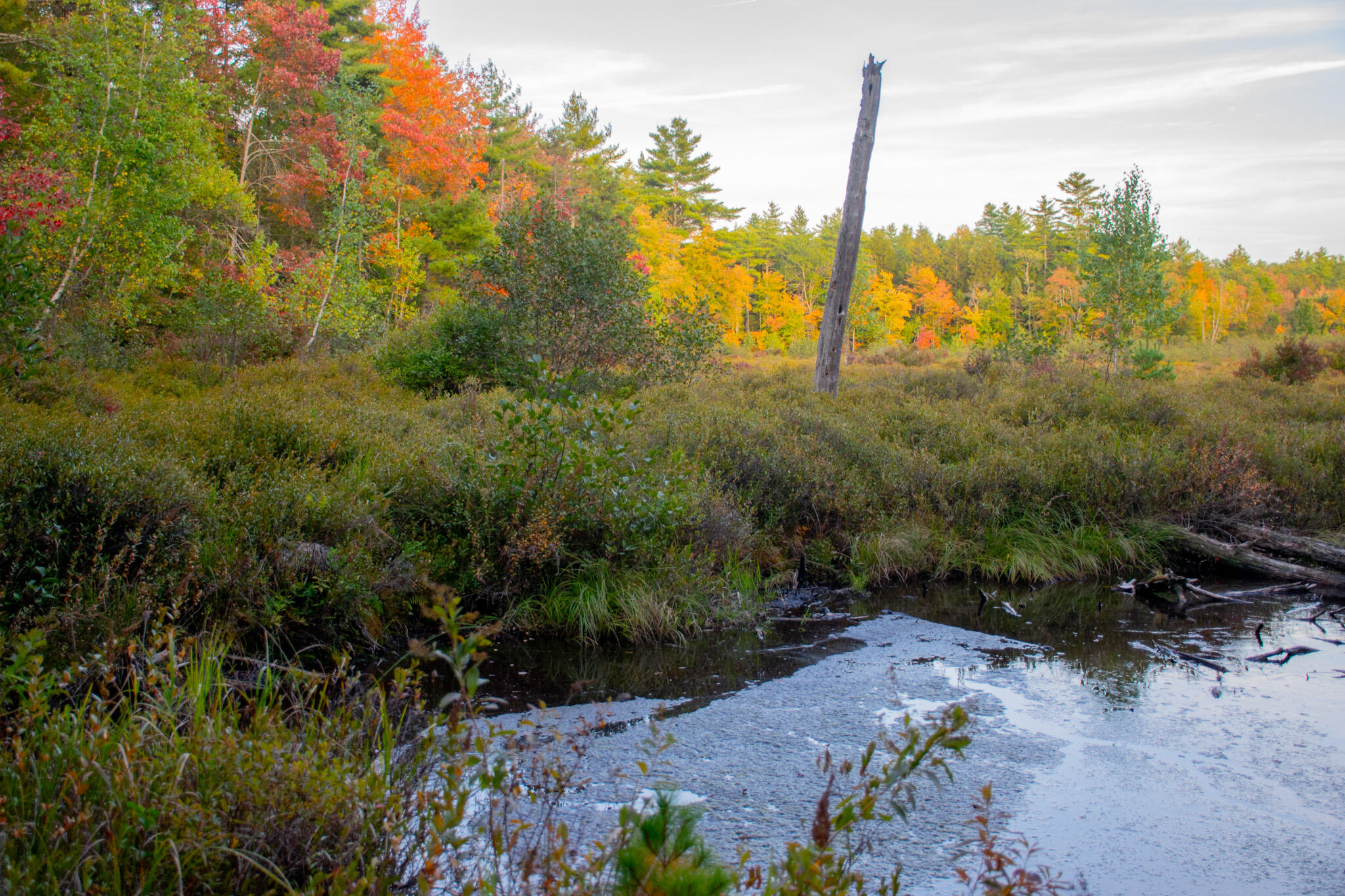 Tbd New Dam Road North Waterboro, ME 04061 - Photo 20 of 24