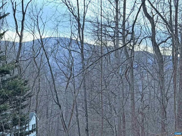 a backyard of a house with lots of trees