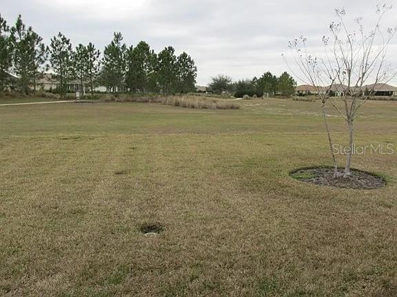 8701 Southwest 83rd Circle Ocala, FL 34481 - Photo 22 of 22