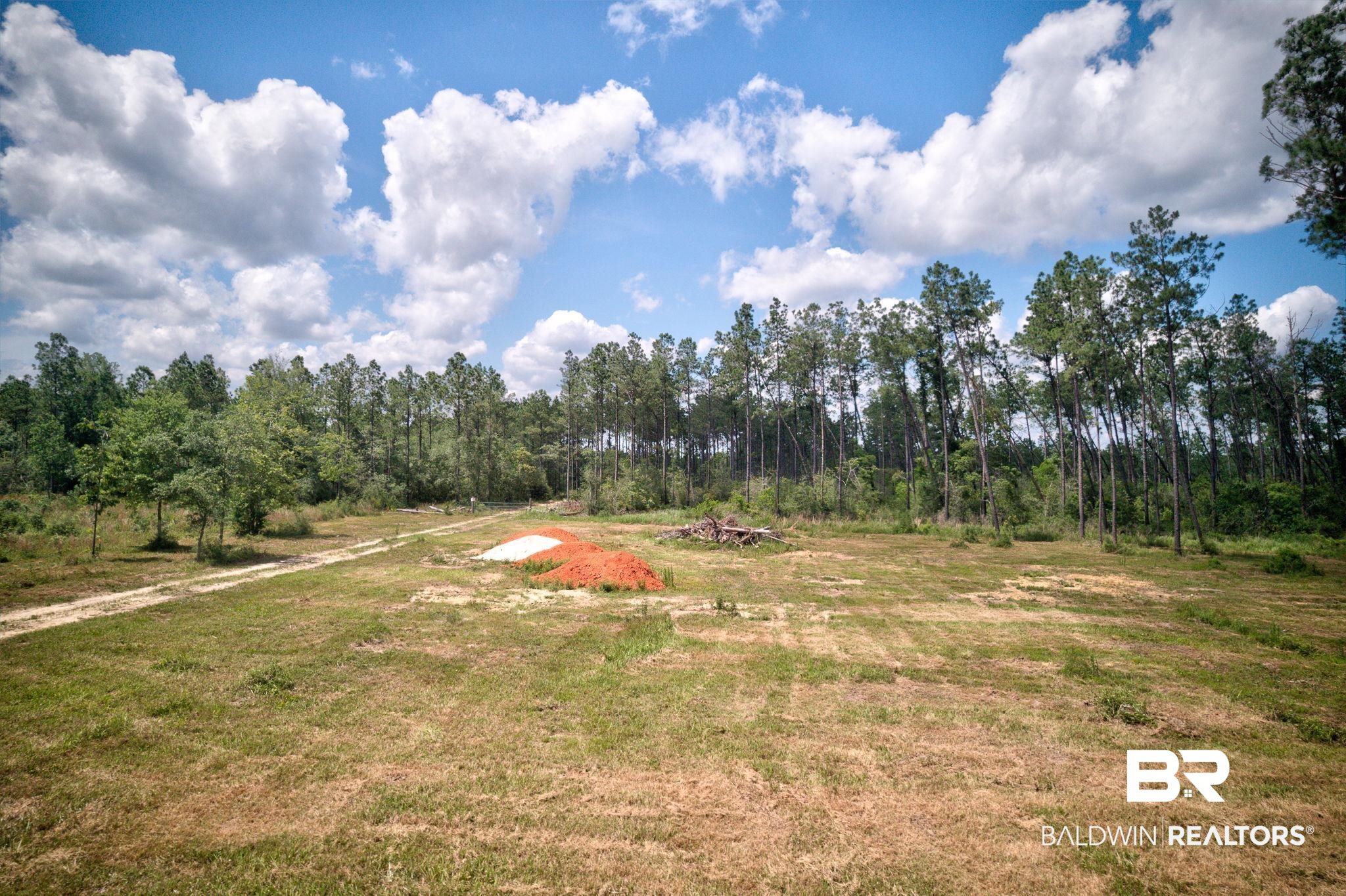 30111 Gardner Road Elberta, AL 36530 - Photo 7 of 29
