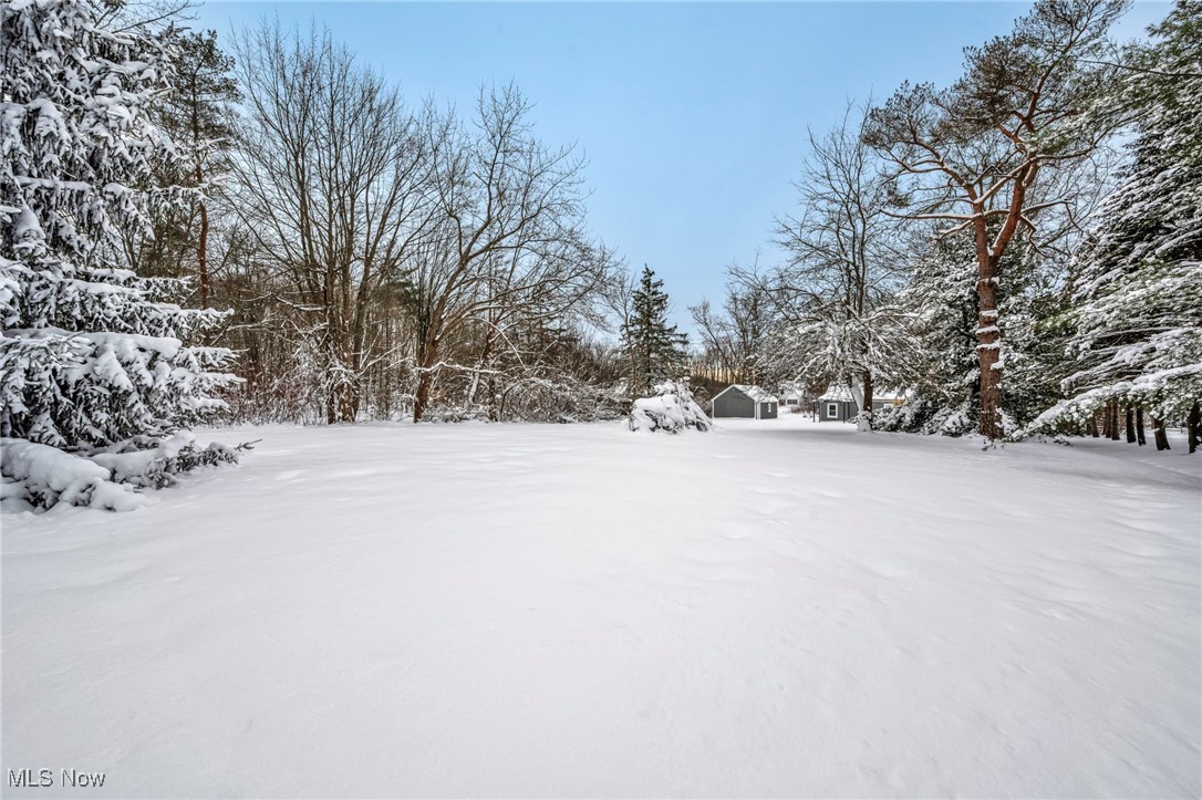 8564 Cedar Road Chesterland, OH 44026 - Photo 39 of 43