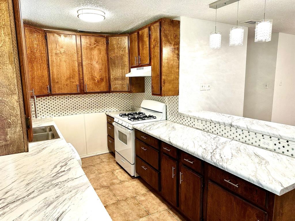 1528 Angel Fire Drive Dallas, TX 75253 - Photo 10 of 24