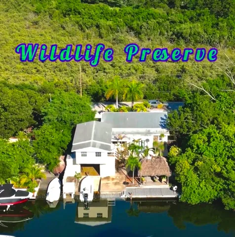 a view of house with yard outdoor seating area and barbeque oven