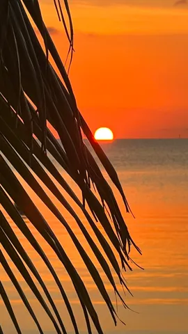 a view of swimming pool that has lawn chairs and a dining table