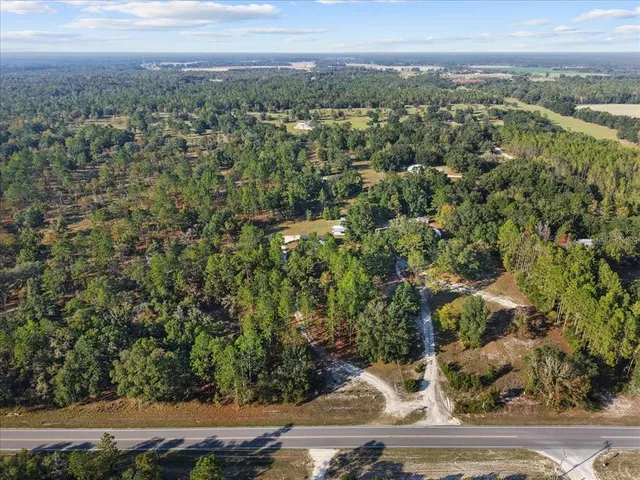 a view of yard with trees
