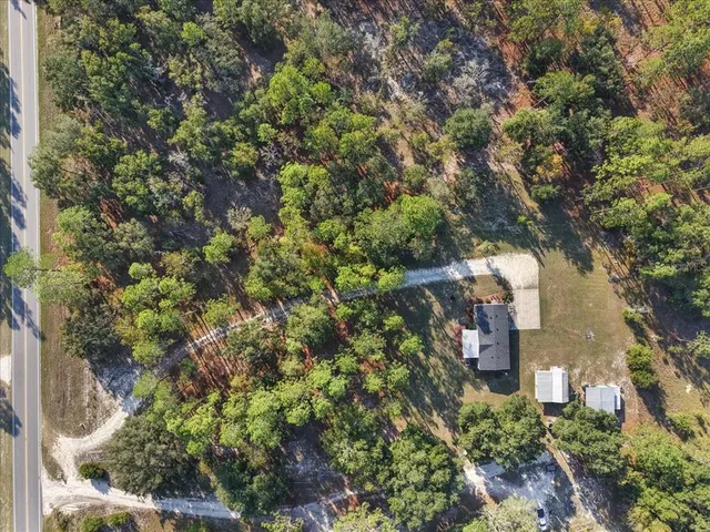 a view of a backyard with large trees