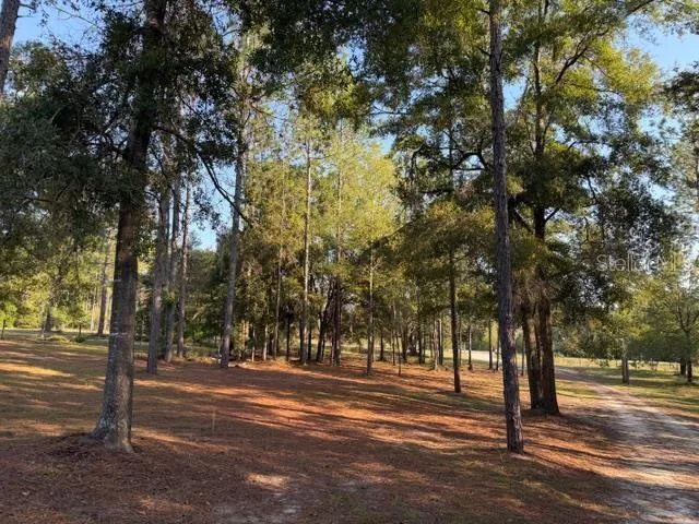 $325,000 | 2710 County Road 340, Bell, FL 32619