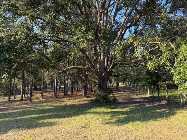 $325,000 | 2710 County Road 340, Bell, FL 32619