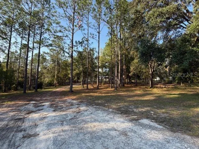 $325,000 | 2710 County Road 340, Bell, FL 32619