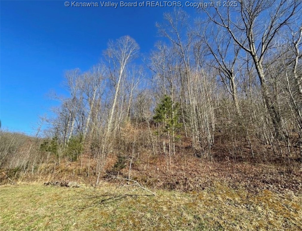 292 Maysel Laurel Ridge Road Clay, WV 25043 - Photo 12 of 30 Gallery Image 12