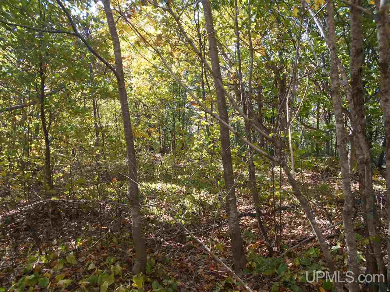 Tbd Kallio Road Calumet, MI 49913 - Photo 2 of 23