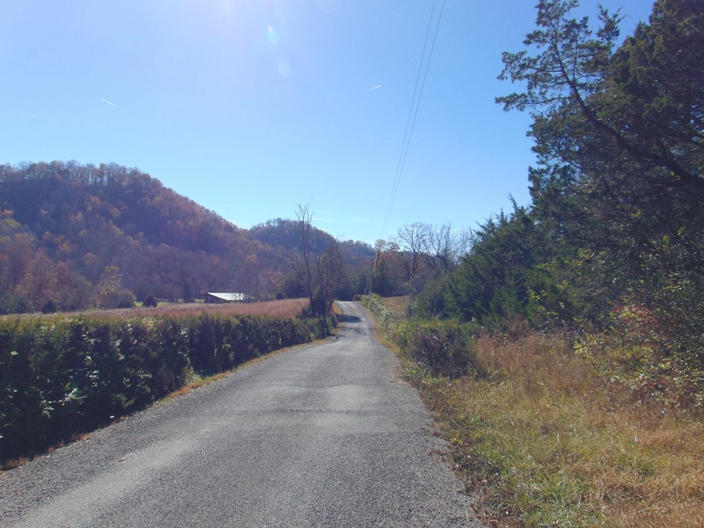463 Co Road Englewood, TN 37329 - Photo 25 of 28