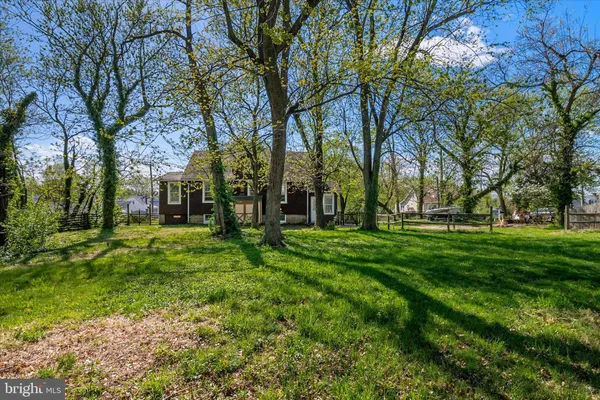 a huge green field with lots of trees